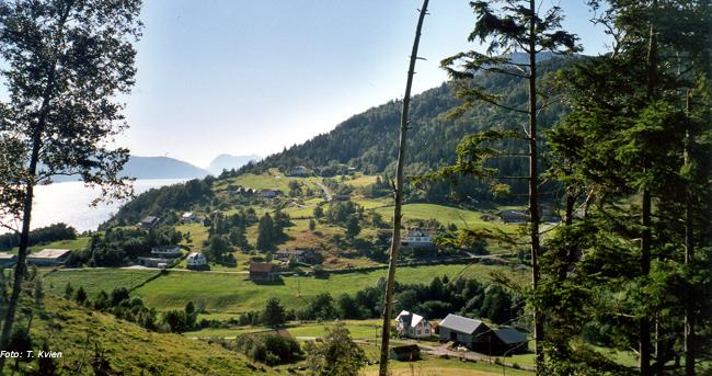 Gilleshammer og Leite.jpg - Fra Kjlsdalen mot vest. Humborstad, Abelbruket i forgrunnen - Gilleshammer lengst mot vest.